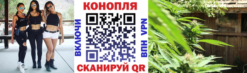 Цена Шуя COCAIN  Меф  Alpha-PVP  Каннабис 