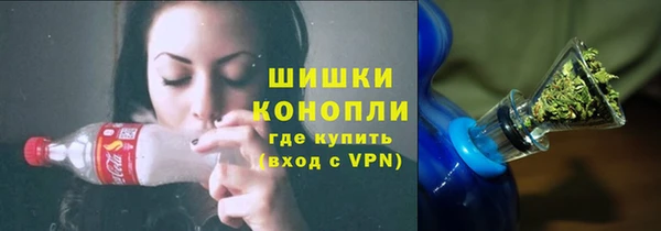 амф Бронницы