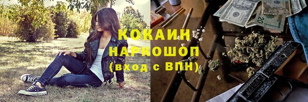 apvp Богданович