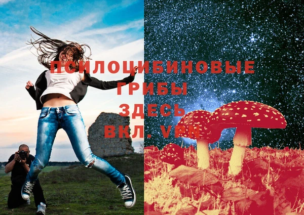 mdma Бородино