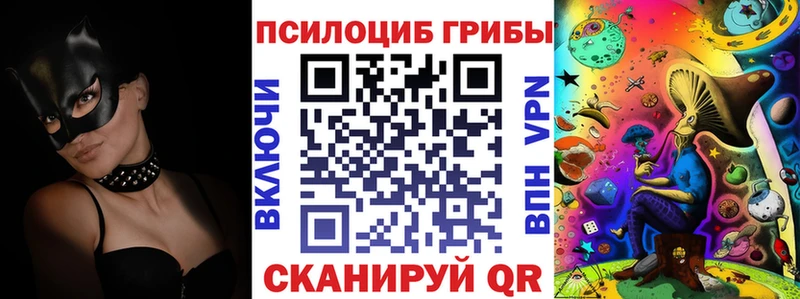 Псилоцибиновые грибы ЛСД  купить закладку  Шуя 
