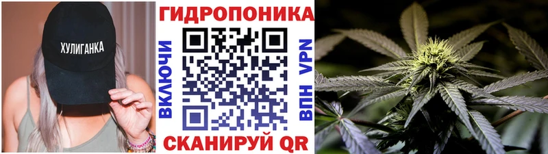 Шишки марихуана планчик  Шуя 